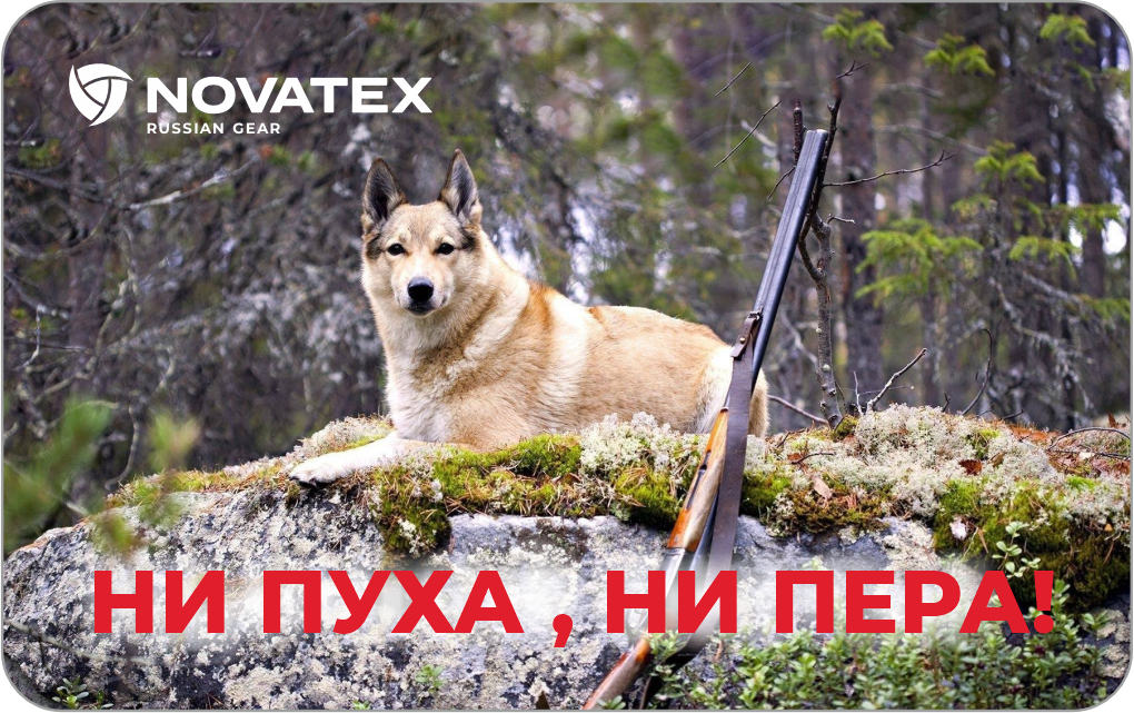 Дизайн_25